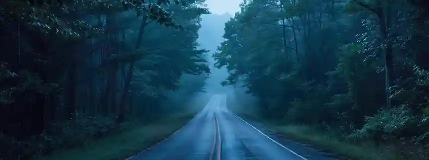 Foggy, deserted road through dense Pennsylvania woods, evoking an eerie and haunted atmosphere.