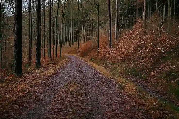 Serene Forest Path in the Apostle Islands A quiet forest trail in the Apostle Islands with tall trees and a carpet of fallen autumn leaves, showcasing the natural beauty of the landscape.