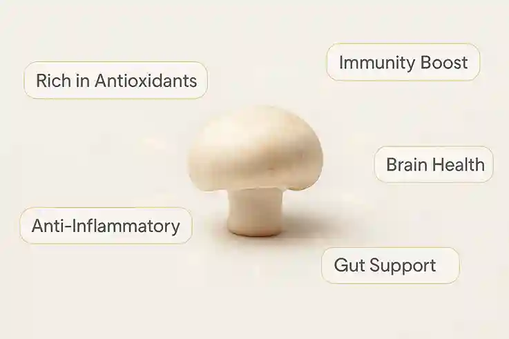 Health benefits of mushrooms shown with a single white mushroom on a clean background, surrounded by icons and text bubbles highlighting immunity, brain health, and gut support.