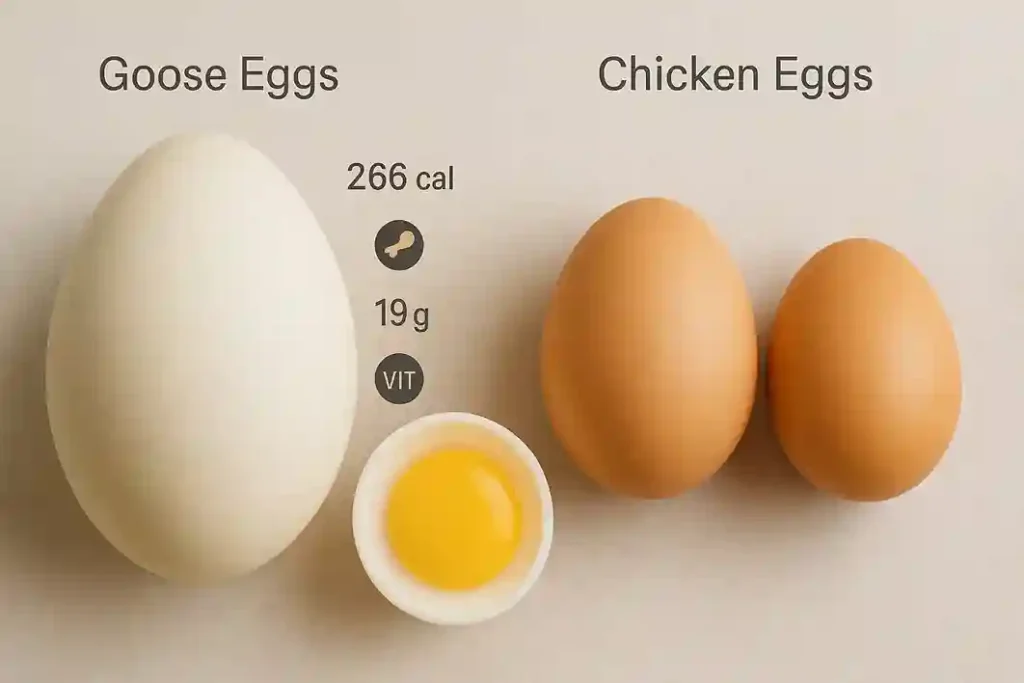 Goose eggs and chicken eggs side by side on a wooden surface, showing their size, color, and texture differences.