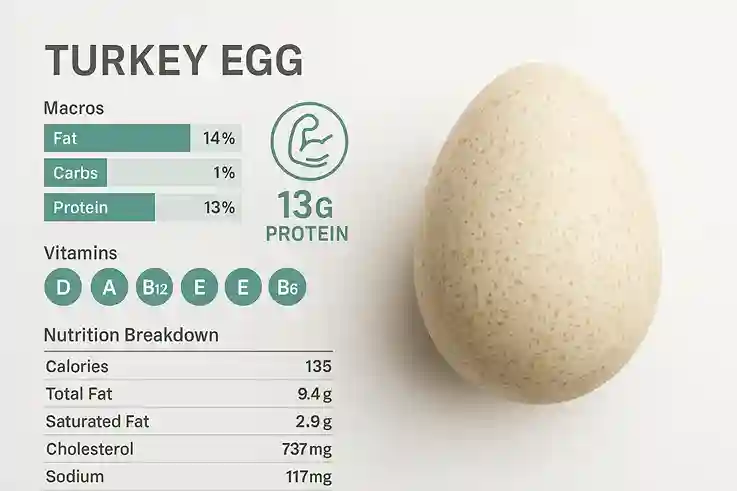 Scientific-style chart showing turkey egg nutrition with proteins, vitamins, and minerals on a clean white background.